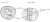 Xylem and Phloem diagrams (2.12).JPG