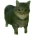 1745061415336.png