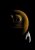 1757157857560.jpeg