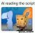IMG_0056.jpeg